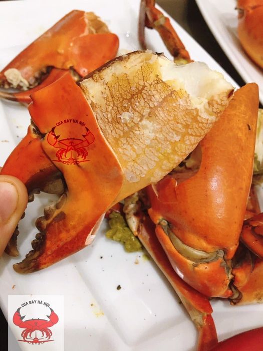 Nhà hàng Hải sản Cua Bay – Thực đơn đa dạng với các loại hải sản 8