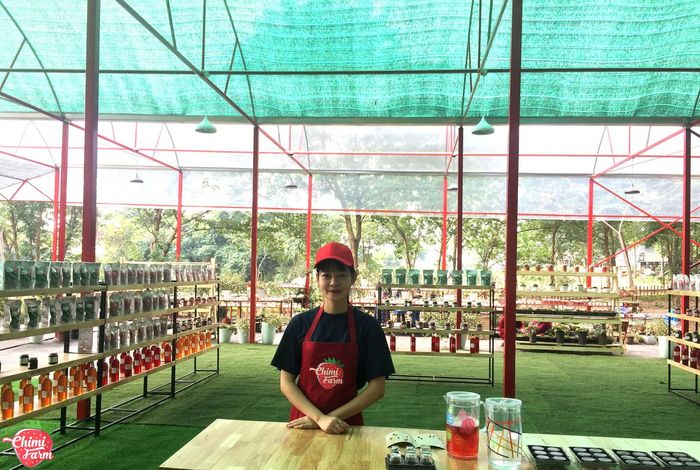 Khám phá nông trại dâu tây Chimi Farm Hà Nội, điểm đến nổi tiếng nhất thủ đô