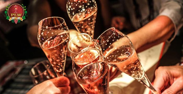 Paula's Wines - Nơi lý tưởng cho rượu vang và xì gà cao cấp