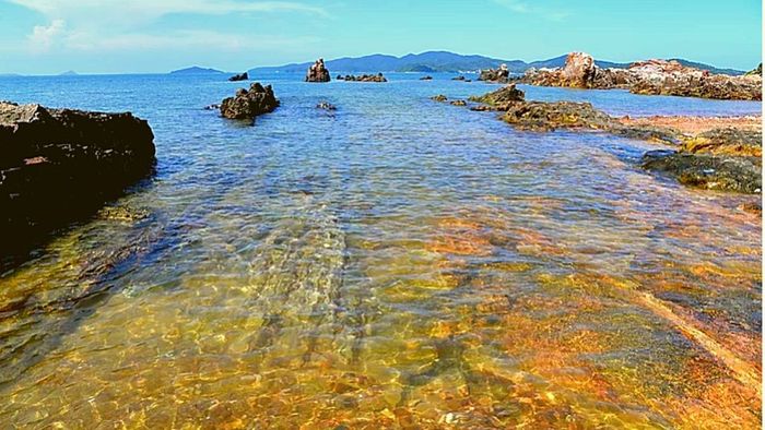 Những điều thú vị đang chờ đợi bạn khám phá khi đi đảo Cô Tô.