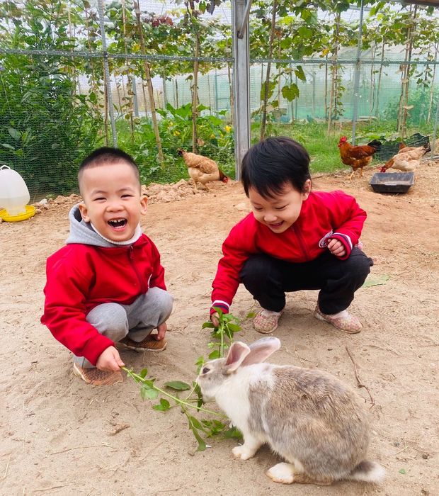 Khám phá trang trại dâu tây Chimi Farm Hà Nội, điểm đến nổi tiếng nhất thủ đô.