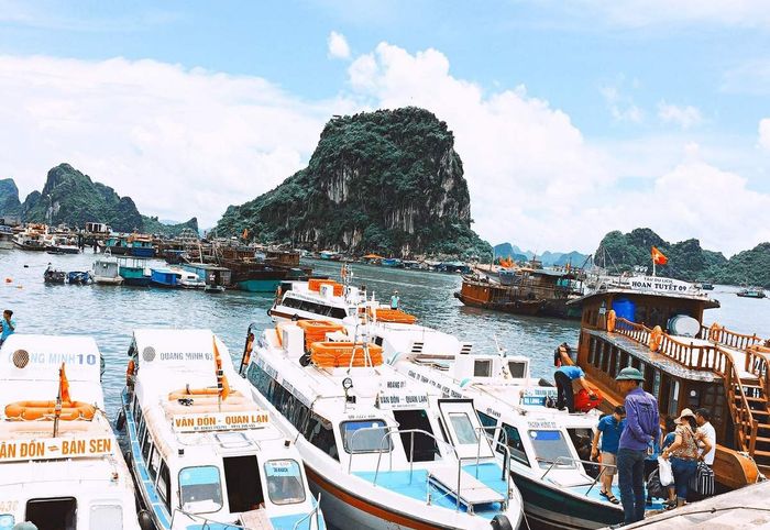 Nhào vào khám phá những điều thú vị đang chờ đợi bạn khi đến đảo Cô Tô.