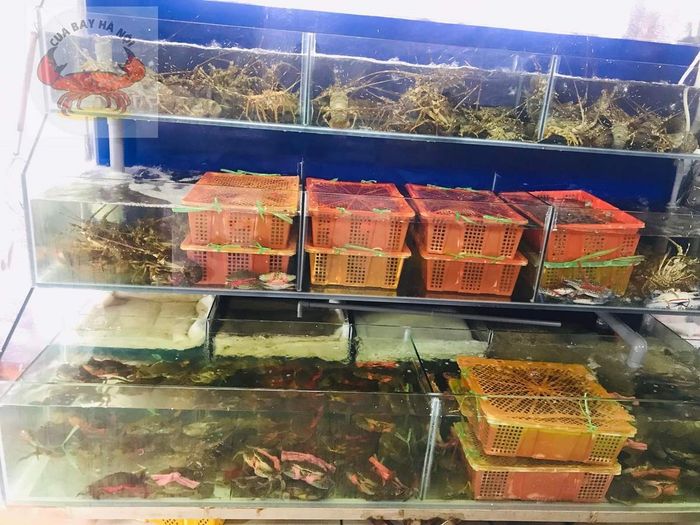 Nhà hàng Hải sản Cua Bay – Thực đơn đa dạng với các loại hải sản 2
