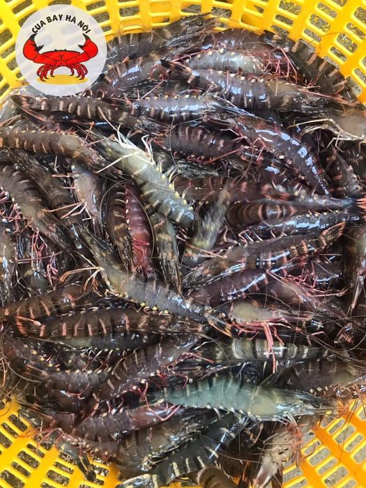 Nhà hàng Hải sản Cua Bay – Thực đơn đa dạng với các loại hải sản 5