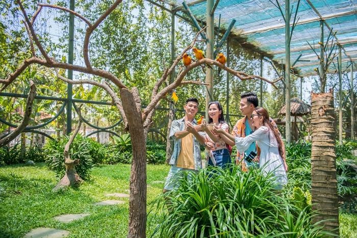 Kinh nghiệm du lịch Huế