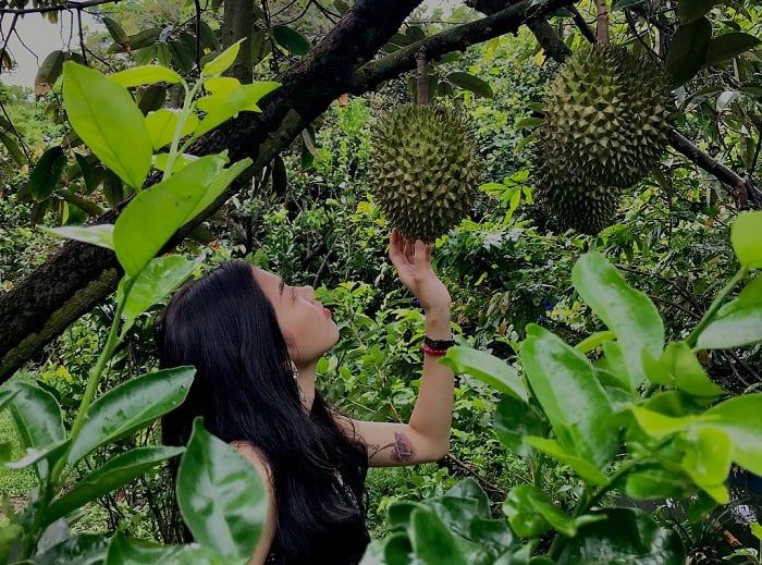 Khám phá vườn trái cây Cần Thơ