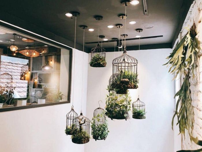 Chả Ká Restaurant – Địa điểm tuyệt vời để thưởng thức ẩm thực truyền thống ở Hà Nội.
