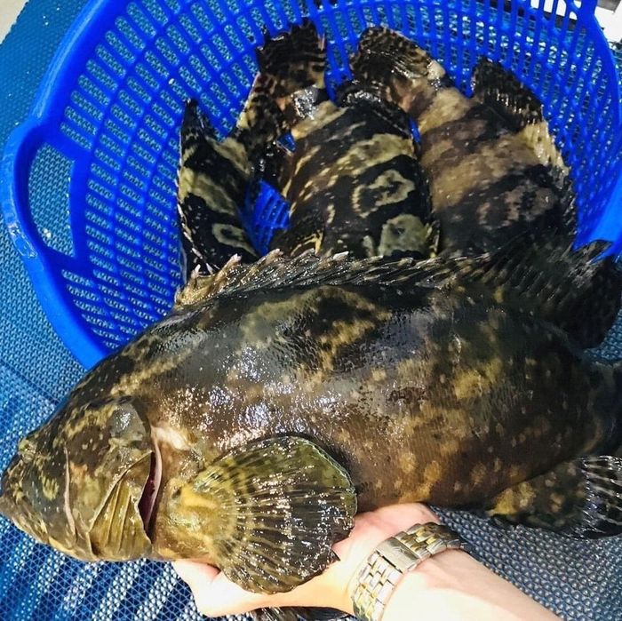 Nhà hàng Hải sản Cua Bay – Thực đơn đa dạng với các loại hải sản 3