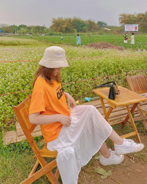 Thăm nông trại dâu tây Chimi Farm Hà Nội, điểm đến nổi tiếng nhất thủ đô