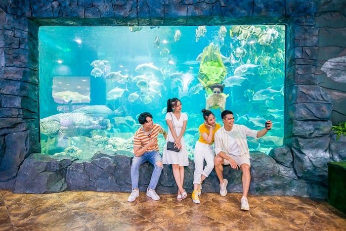 Nhà hàng Tầm Vị đã được trao tặng 1 sao Michelin, những gì làm cho nó nổi bật?