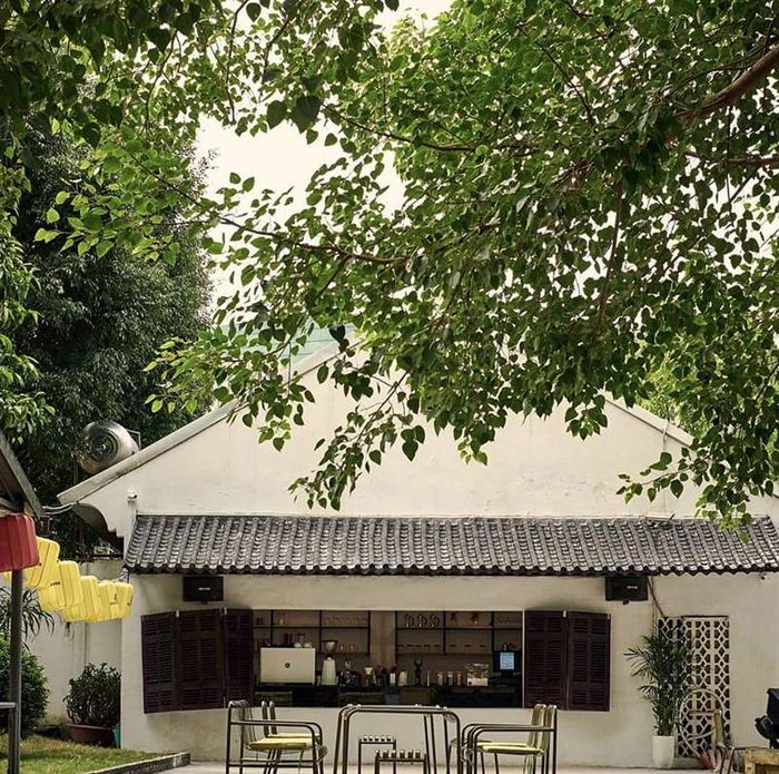 Các quán cà phê ở Hà Nội với không gian yên bình giữa trung tâm thủ đô.