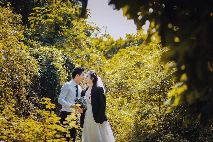 Vườn nhãn Vĩnh Tuy - Điểm sống ảo đẹp nhất ở trung tâm thủ đô.