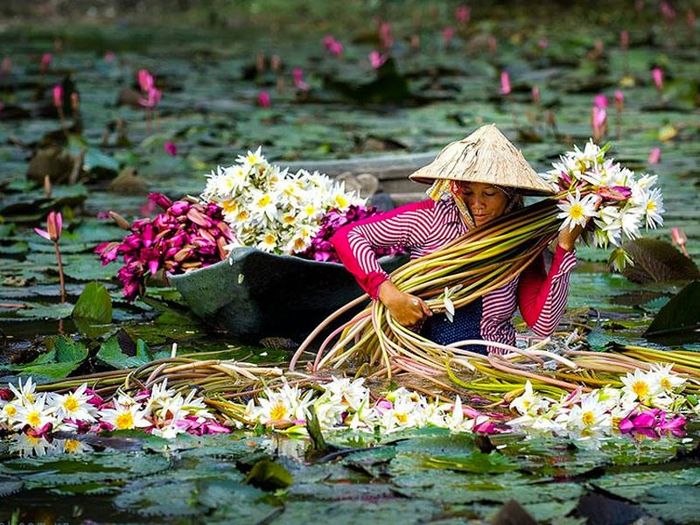 Phượt miền Tây