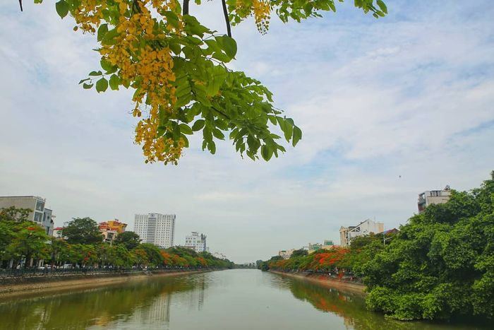 Khám phá vẻ đẹp thú vị của Hồ Tam Bạc ở Hải Phòng