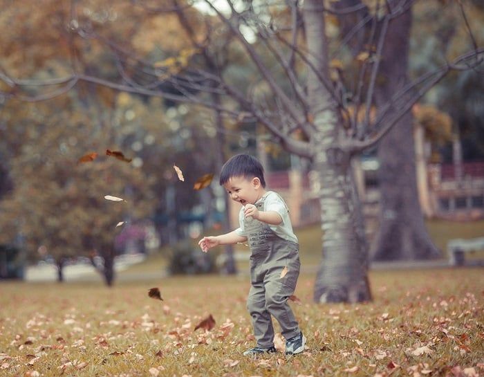 Công viên Gia Định