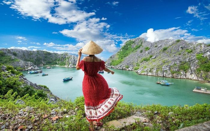 Kế hoạch du lịch Cát Bà 2 ngày 1 đêm tự túc chi tiết nhất 5