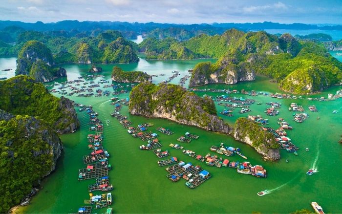Kế hoạch du lịch Cát Bà 2 ngày 1 đêm tự túc chi tiết nhất 10