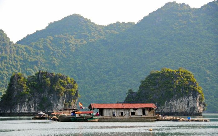 Kế hoạch du lịch Cát Bà 2 ngày 1 đêm tự túc chi tiết nhất 9