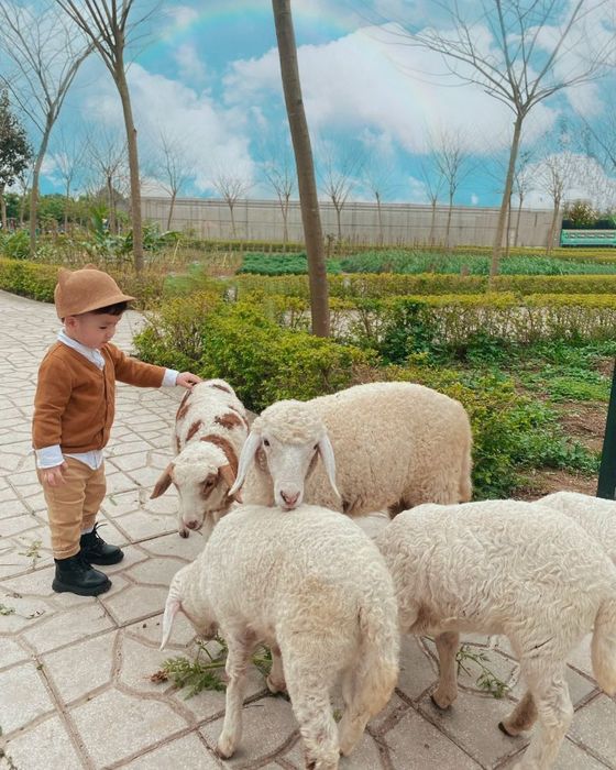 Có gì tại Phù Đổng Green Park, điểm du lịch nổi tiếng ở Hà Nội