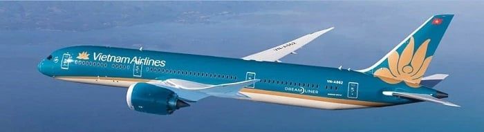 Quy định của Vietnam Airlines đối với phụ nữ mang thai khi đi máy bay