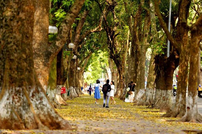 Kinh nghiệm du lịch Hà Nội mùa thu sẽ khiến lòng bạn say đắm
