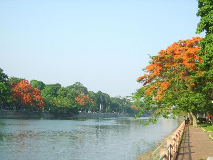 Khám phá vẻ đẹp thú vị của Hồ Tam Bạc ở Hải Phòng