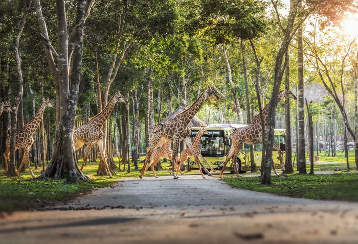 Sự kiện Green Journey đến Phú Quốc