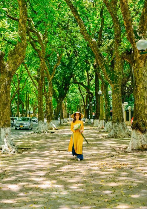 Khám phá Hà Nội qua những điểm đến nổi tiếng và quen thuộc 11