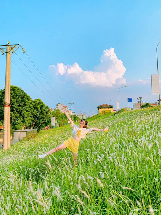 Hà Nội mùa cỏ lau dịu dàng và thơ mộng đến tận cùng 6