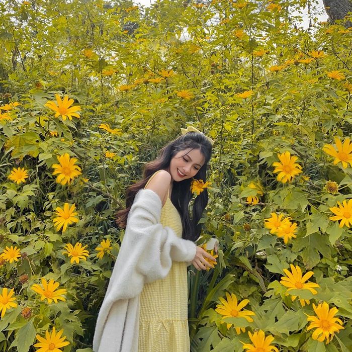 Chuẩn bị cho chuyến du lịch Ba Vì 1 ngày hoàn hảo từ A đến Z 3