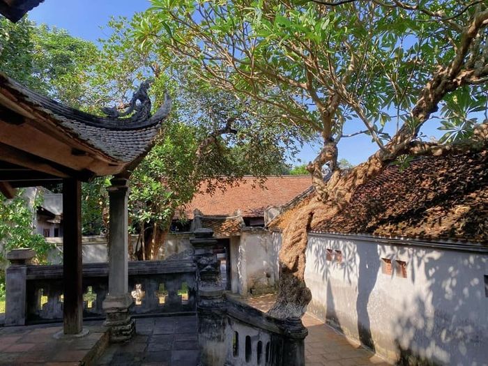 Thành Cổ Loa, di tích yên bình nằm ở ngoại ô thủ đô