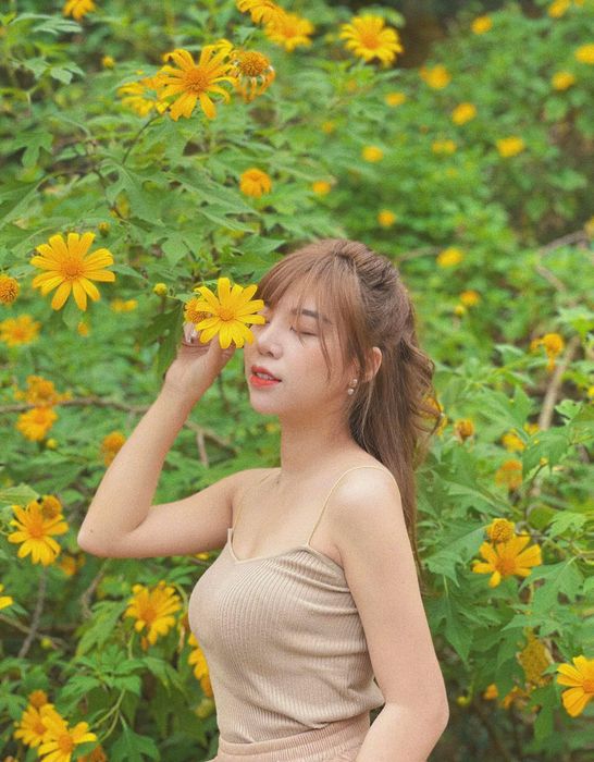 Săn lùng Mùa hoa dã quỳ Hà Nội qua từng bức ảnh đẹp tuyệt vời