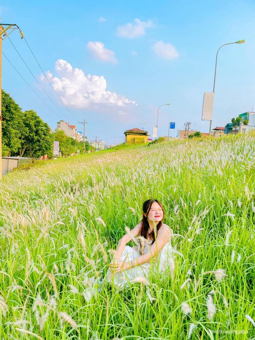 Hà Nội mùa cỏ lau dịu dàng và thơ mộng đến tận cùng 7