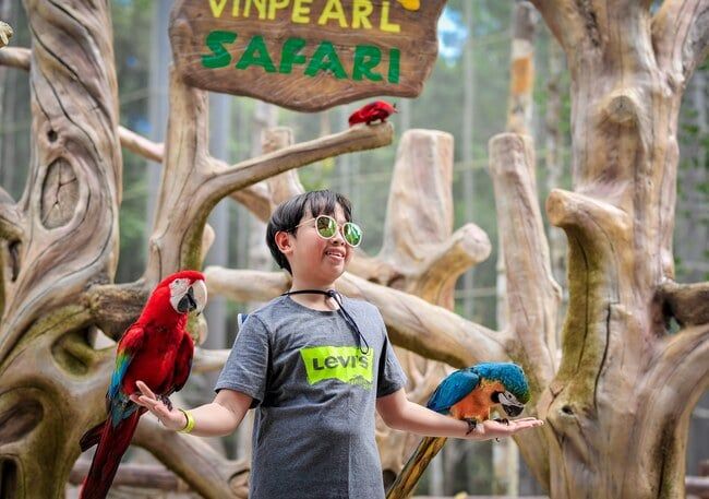 Trải nghiệm hình ảnh đặc biệt khi khám phá Vinpearl Safari Phú Quốc