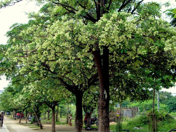 Kinh nghiệm du lịch Hà Nội mùa thu sẽ làm rạo rực lòng bạn
