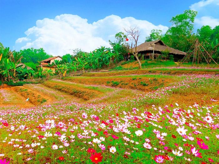 Đánh giá một chuyến du lịch Ba Vì tiết kiệm cho bạn 6