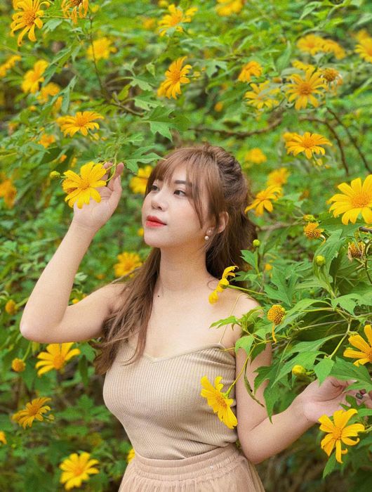 Chinh phục Mùa hoa dã quỳ Hà Nội qua những tấm ảnh tuyệt vời