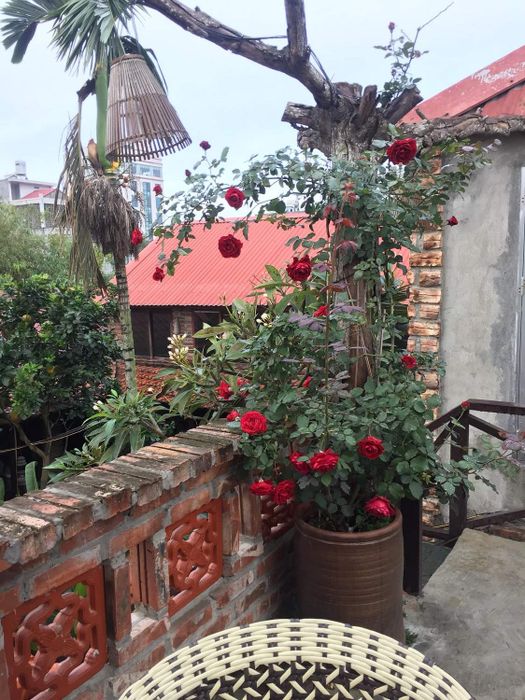 Cung Trầm Cafe Ẩm Thực mang đến không gian yên bình, đậm chất hoài cổ