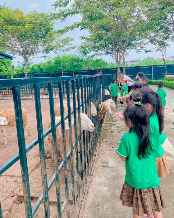Có gì tại Phù Đổng Green Park, điểm du lịch nổi tiếng ở Hà Nội