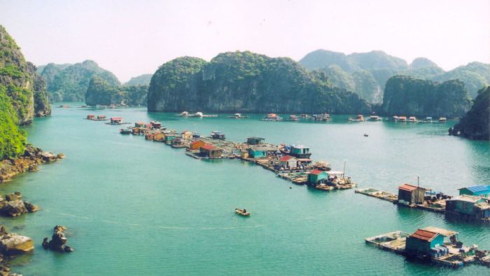 Bảng tin Lịch trình khám phá Cát Bà 1 ngày tự túc đáng nhớ 5