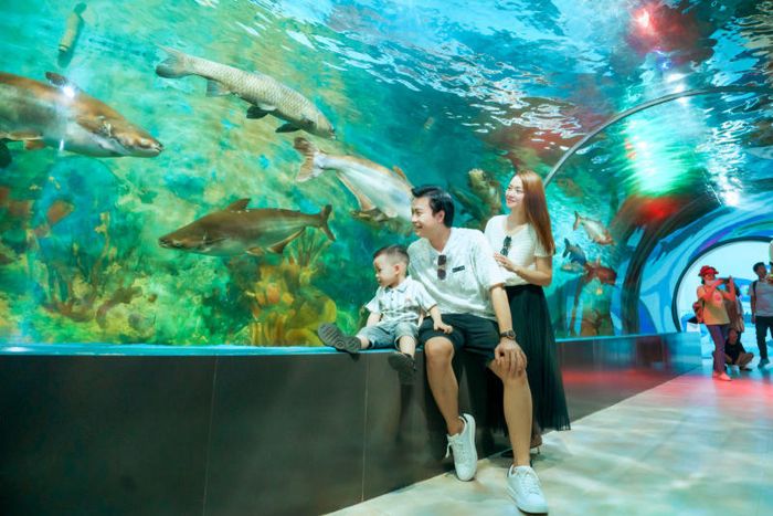 Nơi lý tưởng để trải nghiệm trung thu ở Hà Nội cho một mùa Tết đoàn viên trọn vẹn