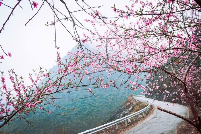 Khám phá đường mòn ẩn mình ở Hà Giang khiến ai cũng mê mẩn