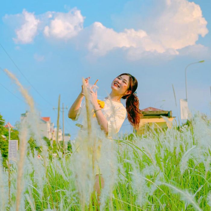 Hà Nội mùa cỏ lau dịu dàng và thơ mộng đến từng tia nắng 5