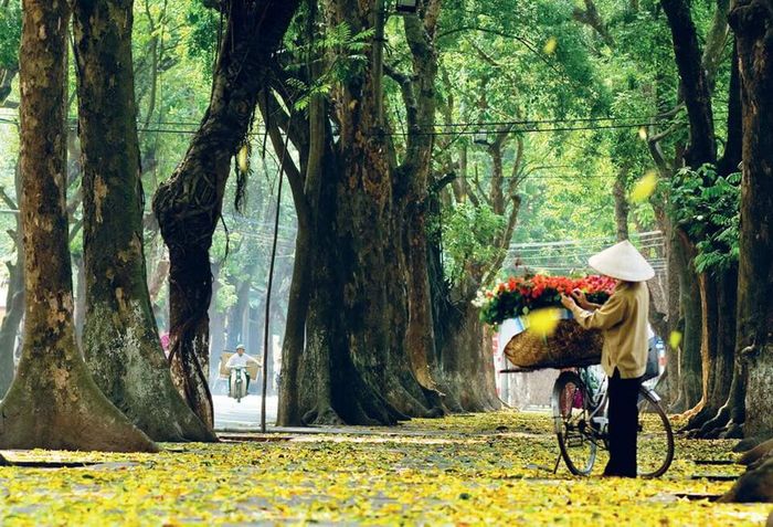 Kinh nghiệm du lịch Hà Nội mùa thu sẽ khiến lòng bạn thổn thức
