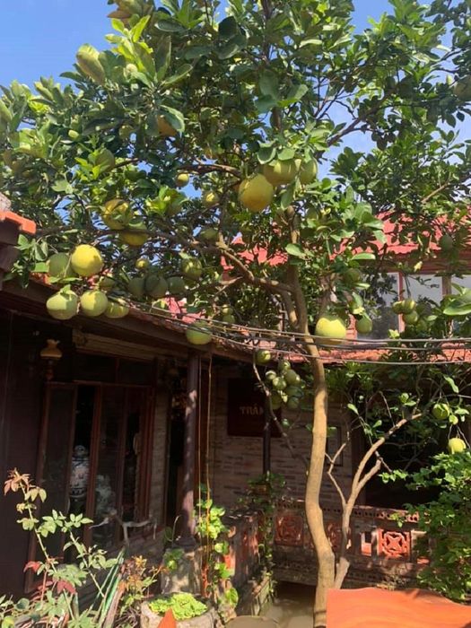 Cung Trầm Cafe Ẩm Thực mang đến không gian yên bình, đậm chất hoài cổ