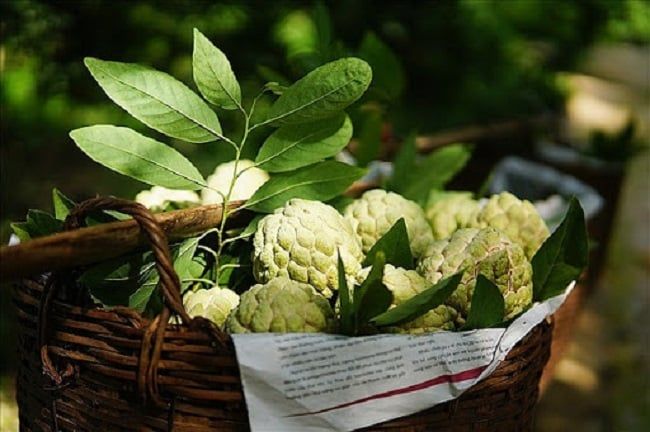 Du lịch Lạng Sơn