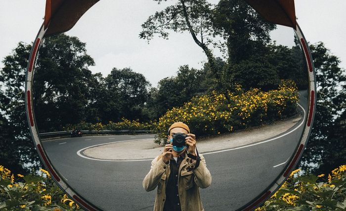 Thưởng ngoạn vẻ đẹp lãng mạn của mùa hoa dã quỳ Ba Vì qua bộ ảnh đẹp sống động từ bạn Ngũ Trường.