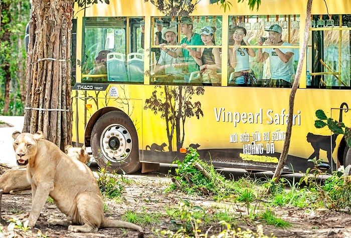 Trải nghiệm ảnh Vinpearl Safari Phú Quốc