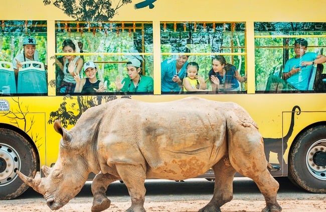 Trải nghiệm ảnh mang lại gì khi khám phá Vinpearl Safari Phú Quốc?