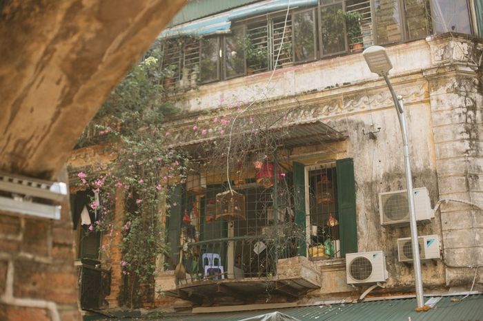 Mùa thu ở Hà Nội, vẻ đẹp dịu dàng như trong trẻo của một câu chuyện cổ tích.